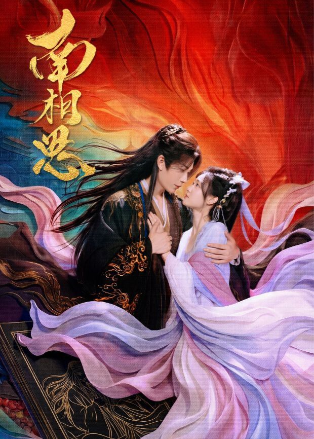 南相思封面图