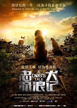 忠犬流浪记封面图