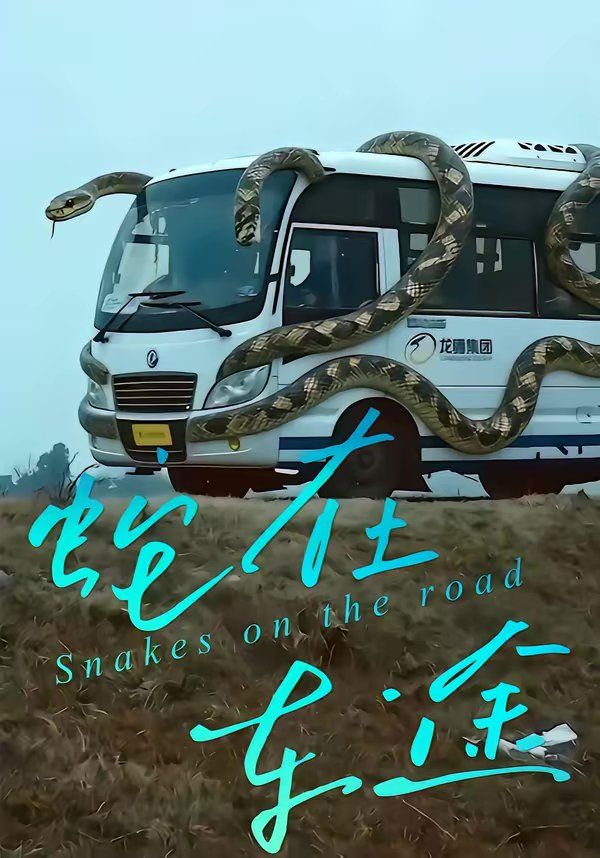 蛇在车途封面图