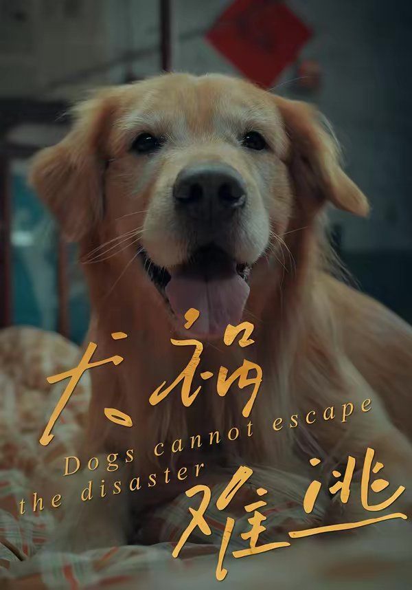 犬祸难逃封面图