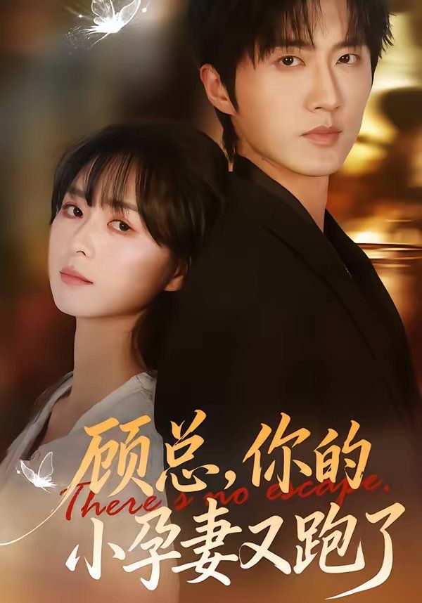顾总，你的小孕妻又跑了封面图