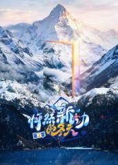 怦然新动的冬天第二季封面图
