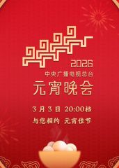 2026年中央广播电视总台元宵晚会封面图
