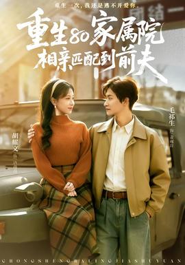 重生80家属院，相亲匹配到前夫封面图