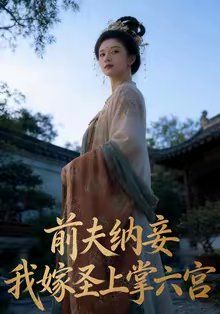 前夫纳妾，我嫁圣上掌六宫封面图