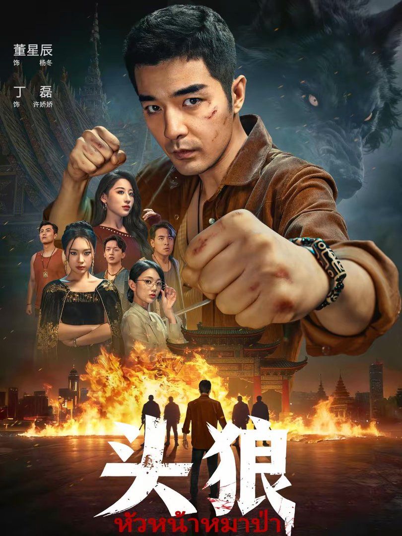 头狼封面图