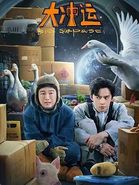 大冲运封面图