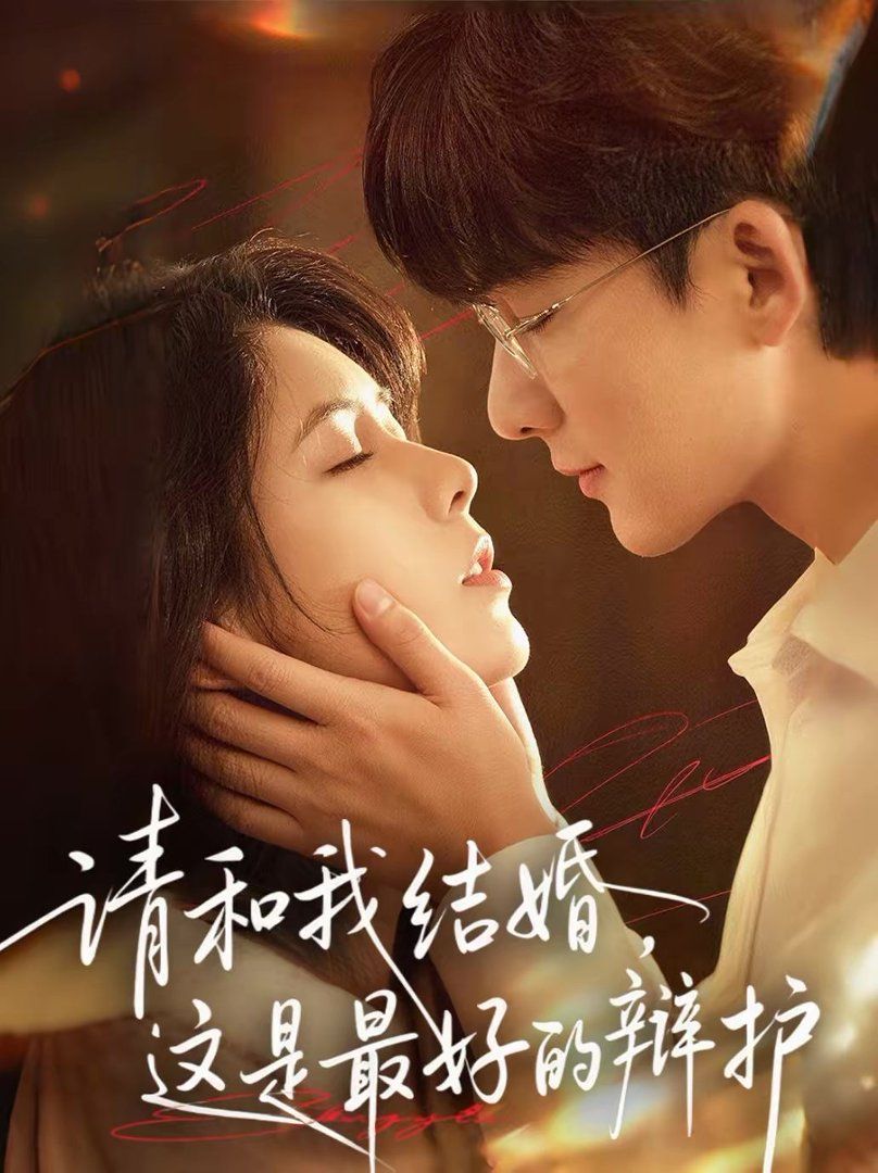 请和我结婚，这是最好的辩护封面图