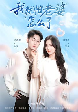 我就怕老婆怎么了封面图