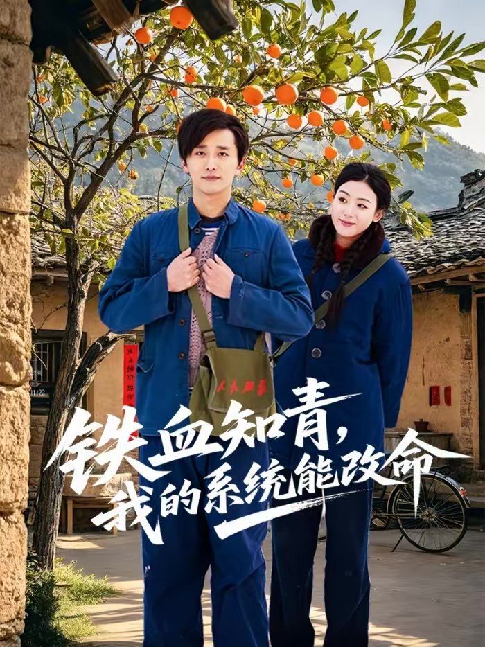 铁血知青，我的系统能改命封面图