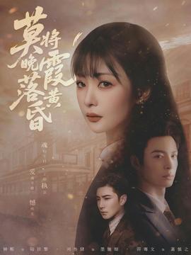 莫将晚霞落黄昏封面图