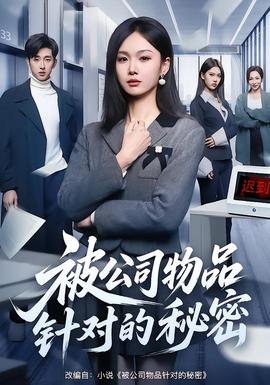 被公司物品针对的秘密封面图