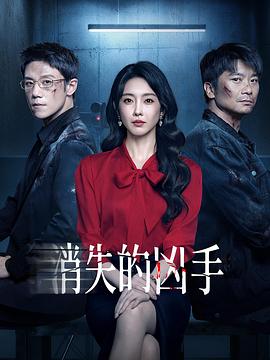 消失的凶手封面图