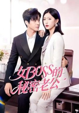 女Boss的秘密老公封面图