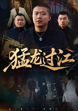 猛龙过江封面图