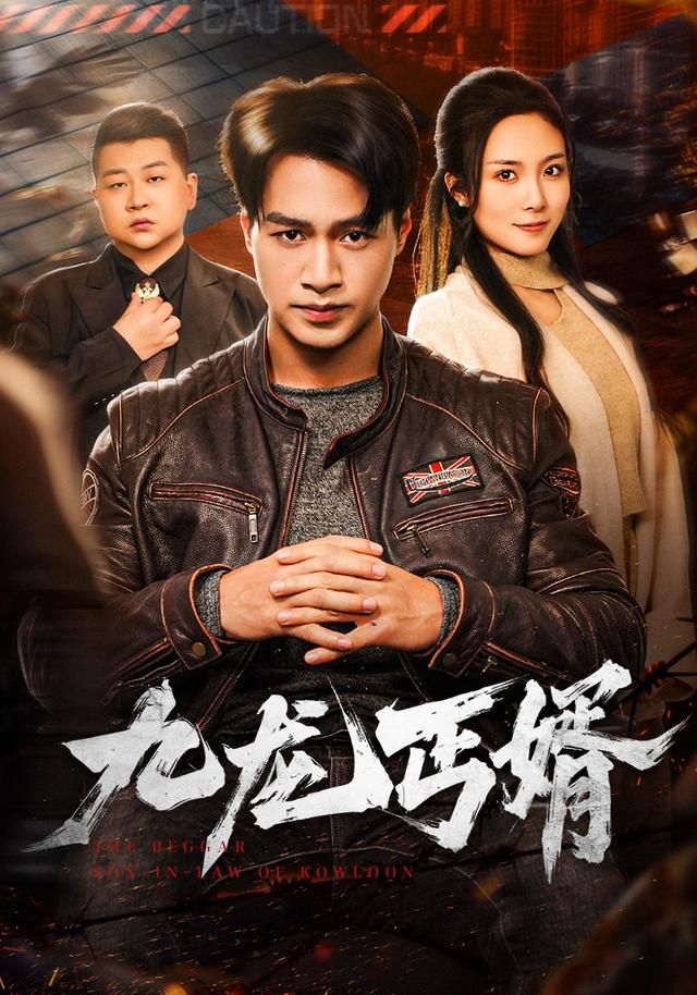九龙丐婿封面图