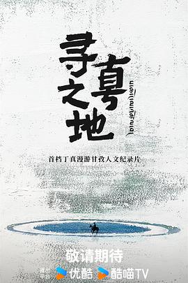 寻真之地封面图