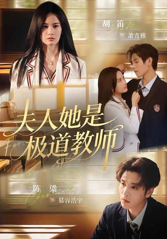 夫人她是极道教师封面图