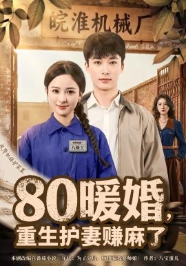80暖婚，重生护妻赚麻了封面图