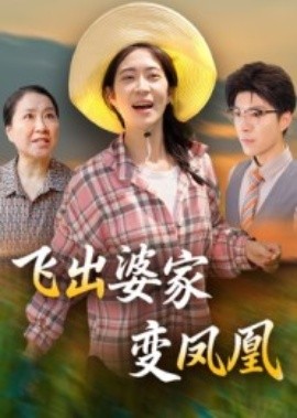 飞出婆家变凤凰封面图