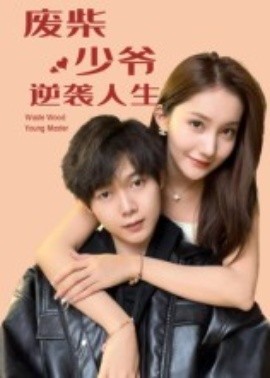 废柴少爷的逆袭人生封面图