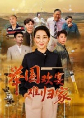 举国欢宴难归家封面图