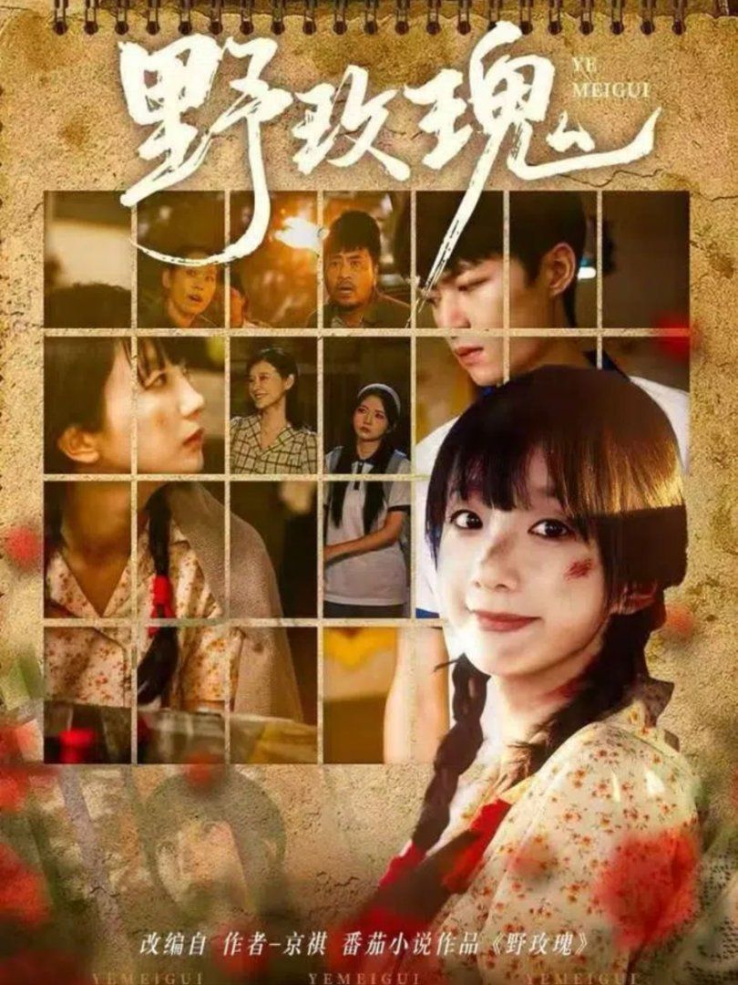 野玫瑰封面图