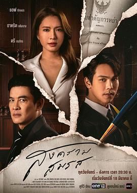 婚姻战：弃爱案件[普通话版]封面图
