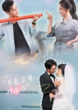 月亮不曾拥抱你封面图