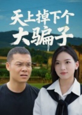 天上掉下个大骗子封面图