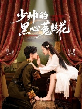 少帅的黑心菟丝花封面图