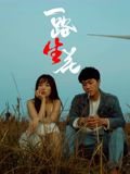一路“生”花封面图