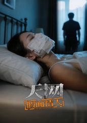天网：假面情人封面图