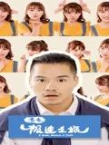 青春极速之旅封面图