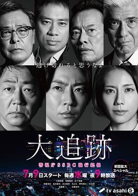 大追踪〜警视厅SSBC强行犯系封面图