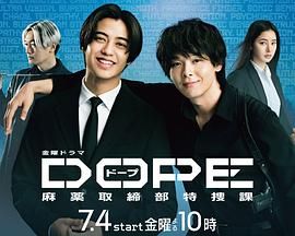 DOPE 麻药取缔部特搜课封面图