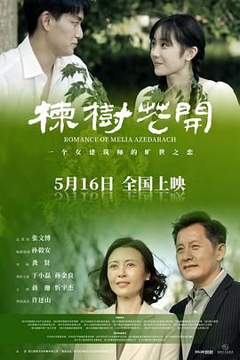 楝树花开封面图
