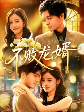 不败龙婿封面图