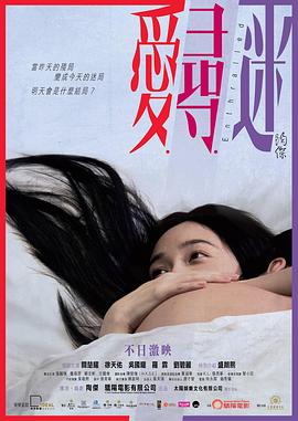 爱寻迷国语封面图
