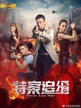 特案追缉封面图