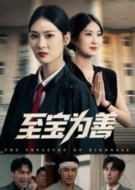 至宝为善封面图