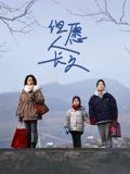 但愿人长久封面图