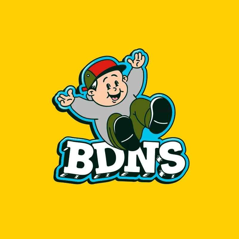 BDNS封面图