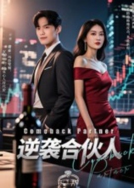 逆袭合伙人封面图