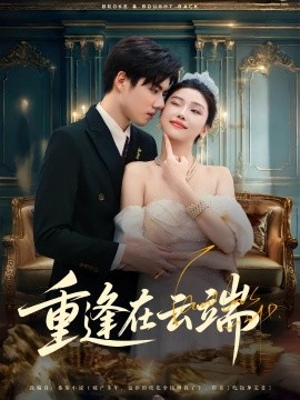 重逢在云端封面图