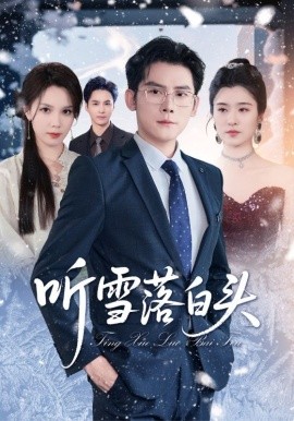 听雪落白头封面图