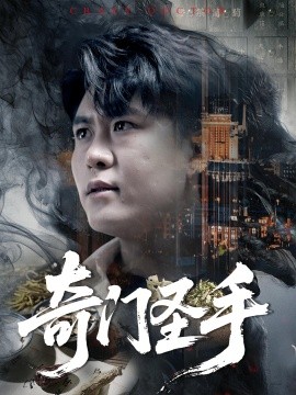 奇门圣手封面图