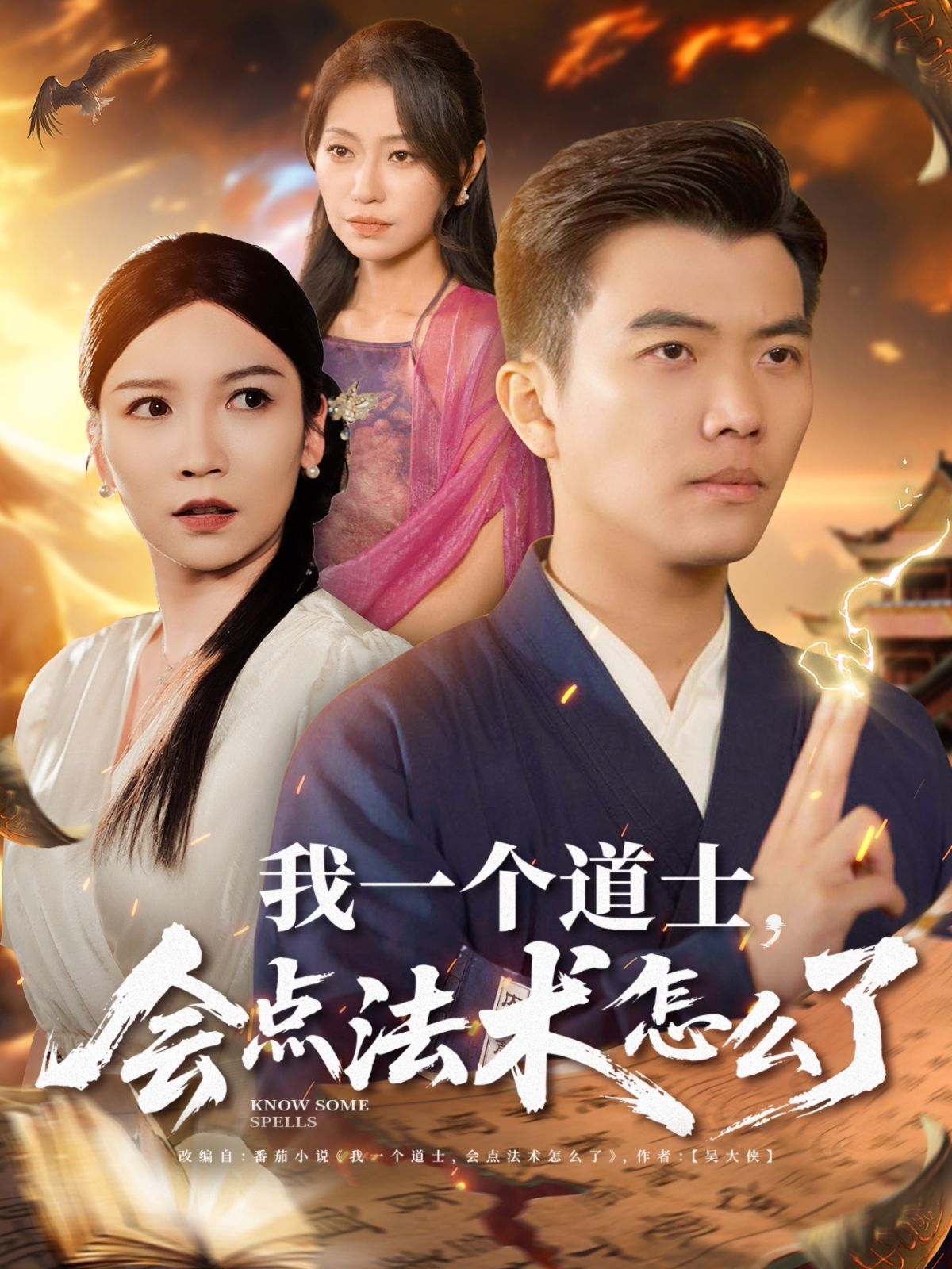 我一个道士会点法术怎么了封面图