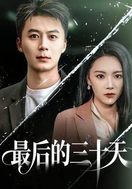 最后的三十天封面图
