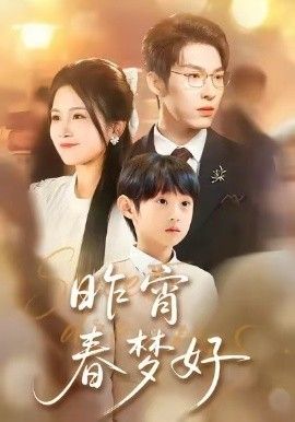 昨宵春梦好封面图